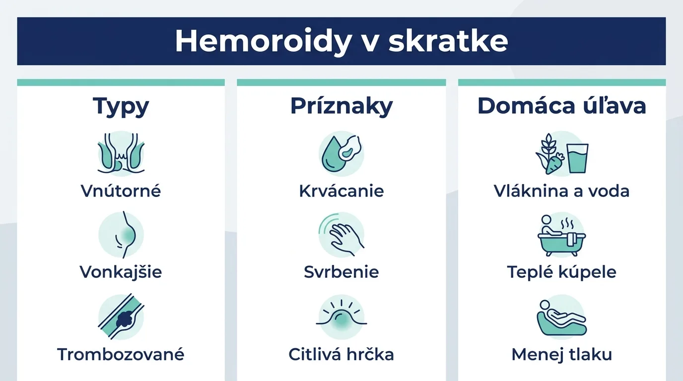 Infografika zhrňujúca typy hemoroidov, ich príznaky a domácu úľavu.